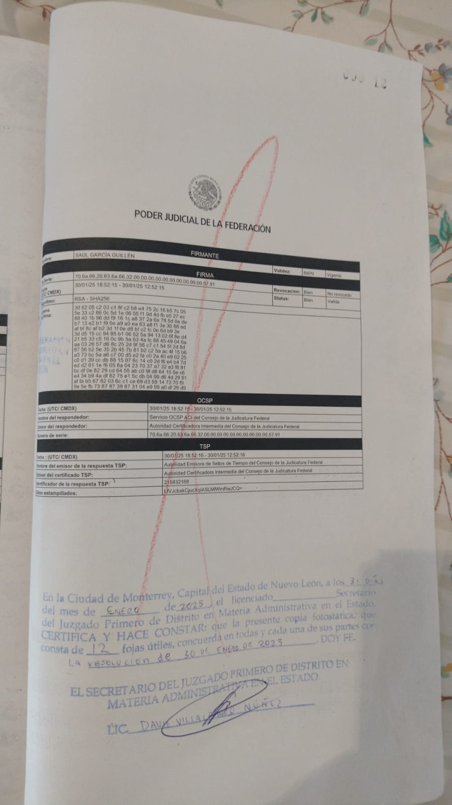 San Nicolás de los Garza: Destrucción de historia y violación de un amparo federal